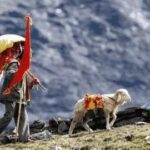 नंदादेवी राजजात यात्रा मार्ग के कार्यों को जल्द किया जाएगा पूरा – डीएम गौरव कुमार