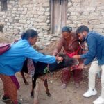 पशु सखी बनीं गांव की डॉक्टर दीदी, बदली ग्रामीण महिलाओं की तकदीर