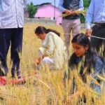 क्रॉप कटिंग प्रयोग में शामिल हुई डीएम स्वाति एस. भदौरिया, ग्रामीणों संग सहभागिता से बढ़ाया विश्वास और उत्साह