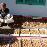 कीवी और जड़ी-बूटियों से चमका बागेश्वर, खेती से मिली नई पहचान