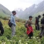 फूलों की घाटी में पर्यटकों का रिकॉर्ड आगमन, 17 दिन में पहुंचे 3628 सैलानी