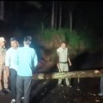रात में सड़क पर गिरा विशाल चीड़ का पेड़, रिखणीखाल पुलिस ने शिक्षक को सुरक्षित पहुंचाया