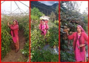 रीप परियोजना के सहयोग से पोखरी की विजया देवी बनीं आत्मनिर्भर, एकीकृत खेती से हर माह ₹25 हजार की कमाई